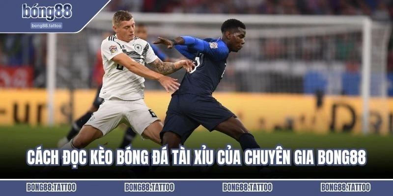 Cách đọc kèo bóng đá tài xỉu của chuyên gia Bong88