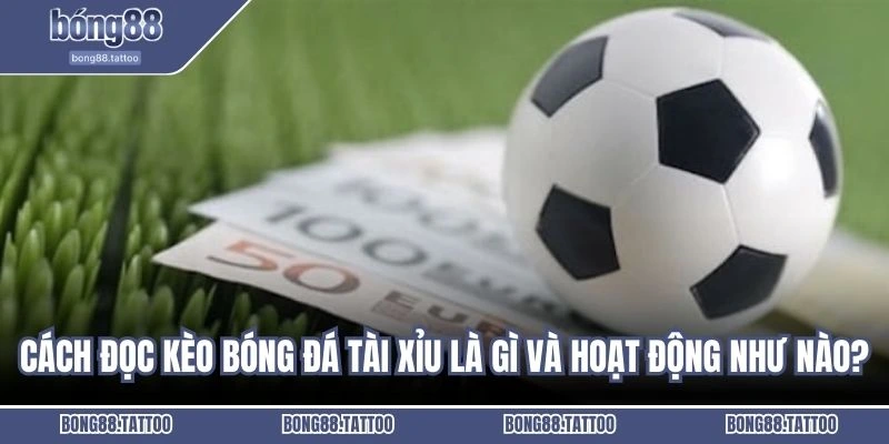 Cách đọc kèo bóng đá tài xỉu là gì và hoạt động như nào?