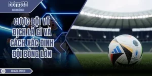 Cược đội vô địch là gì