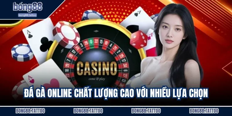 Đá gà online chất lượng cao với nhiều lựa chọn