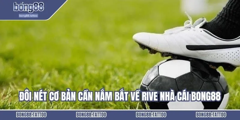 Đôi nét cơ bản cần nắm bắt về rive nhà cái Bong88