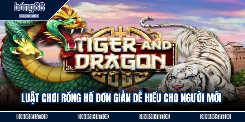 Luật chơi rồng hổ đơn giản dễ hiểu cho người mới 