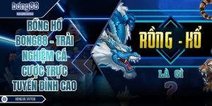 Rồng hổ Bong88