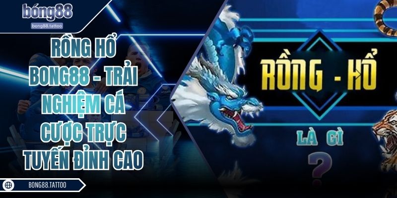 Rồng hổ Bong88